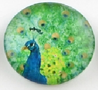 üveg lencse madár mintás 25 mm: 5