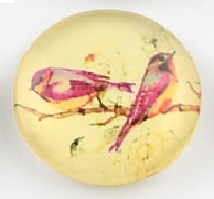 üveg lencse madár mintás 25 mm: 9