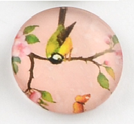 üveg lencse madár mintás 25 mm: 10