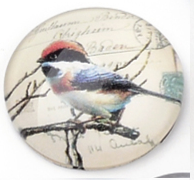 üveg lencse madár mintás 12 mm: 2