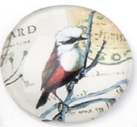 üveg lencse madár mintás 12 mm: 3