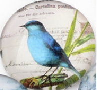 üveg lencse madár mintás 12 mm: 4