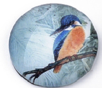 üveg lencse madár mintás 12 mm: 5