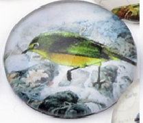 üveg lencse madár mintás 12 mm: 6