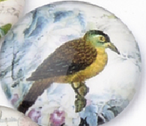 üveg lencse madár mintás 12 mm: 7