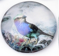 üveg lencse madár mintás 12 mm: 8