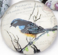 üveg lencse madár mintás 12 mm: 9