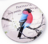 üveg lencse madár mintás 12 mm: 10