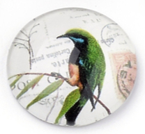 üveg lencse madár mintás 12 mm: 11