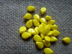 Pip gyöngy: telt sárga 20 db