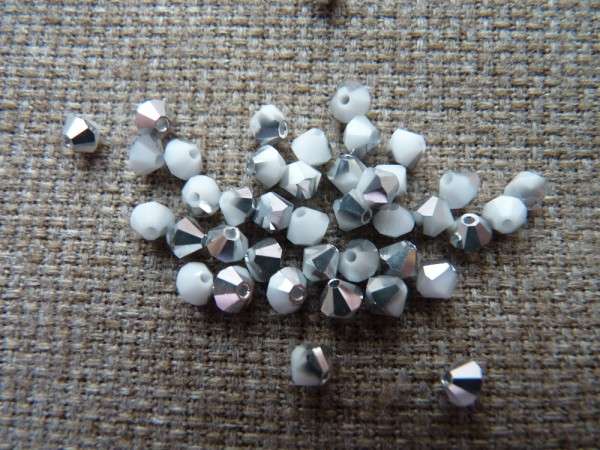 1189_cseh_bichon_4_mm_4cf0a576ba368
