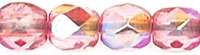 13254_FP1-04-K1704_detail