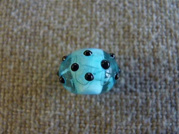 13642_P1180215_(600_x_450)