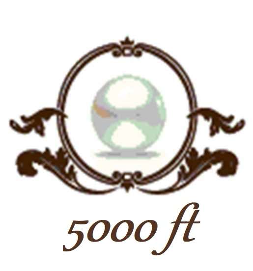 14001_5000