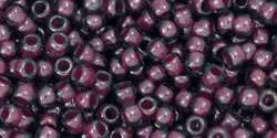 14879_TR-11-1076_detail