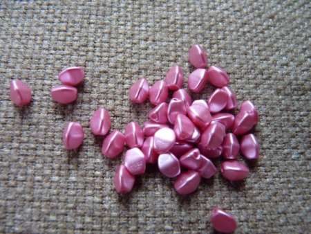 pinch pastel pink 5 g