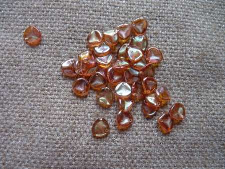 rose petal apricot 20 db